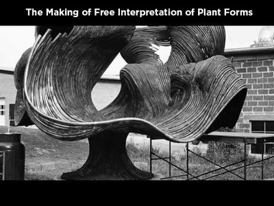 The Making of Free Interpretation of Plant Forms
