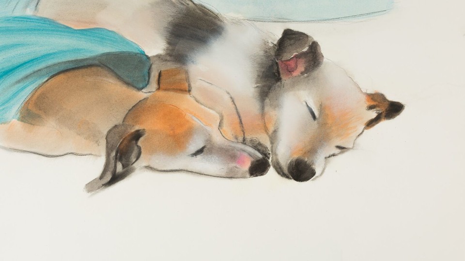 Elizabeth Osborne: Animal Paintings and Watercolors