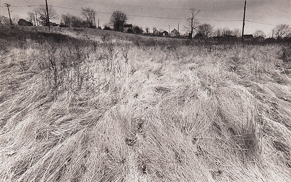 Donald E. Camp: Wintergrass (1979-1981) Gelatin silver print