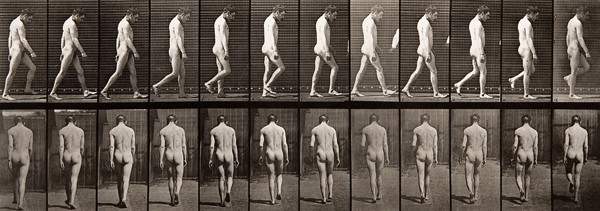 Eadweard Muybridge: Epilepsy, Walking, Plate 549 from Animal Locomotion (1885-1887) Collotype