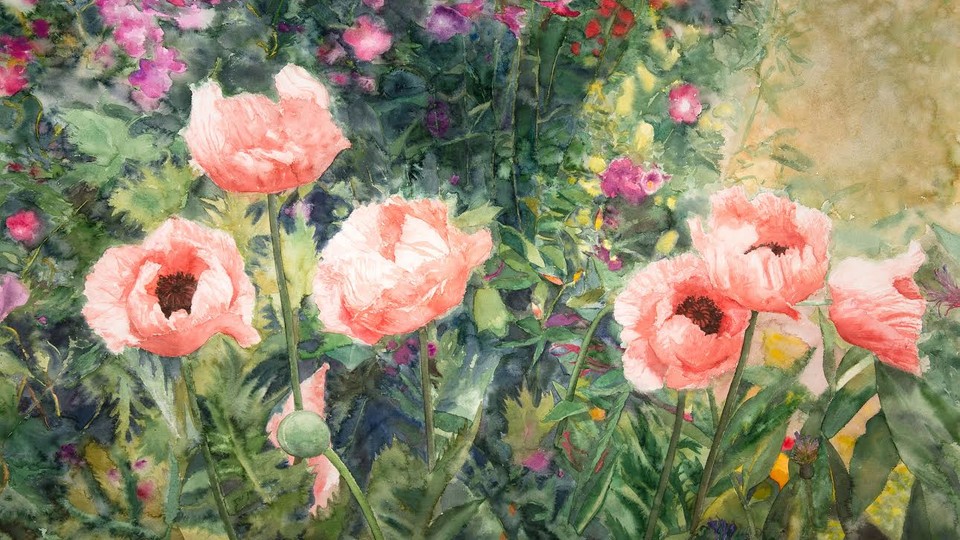 Garden with Poppies