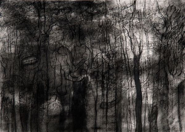 Douglas Wirls: Forest Edge III (1986) Charcoal on paper
