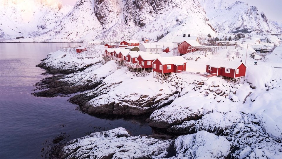 The Photo Review: Best in Show 2025