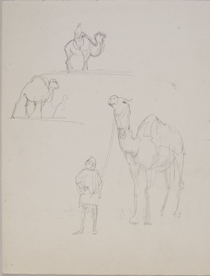 Illustration study of camels and riders for Christian Scienc ... Image 1