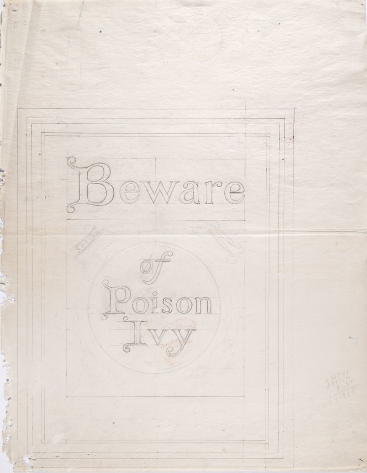 Unidentified study with the inscription &quot;Beware of Poison Iv ... Image 1