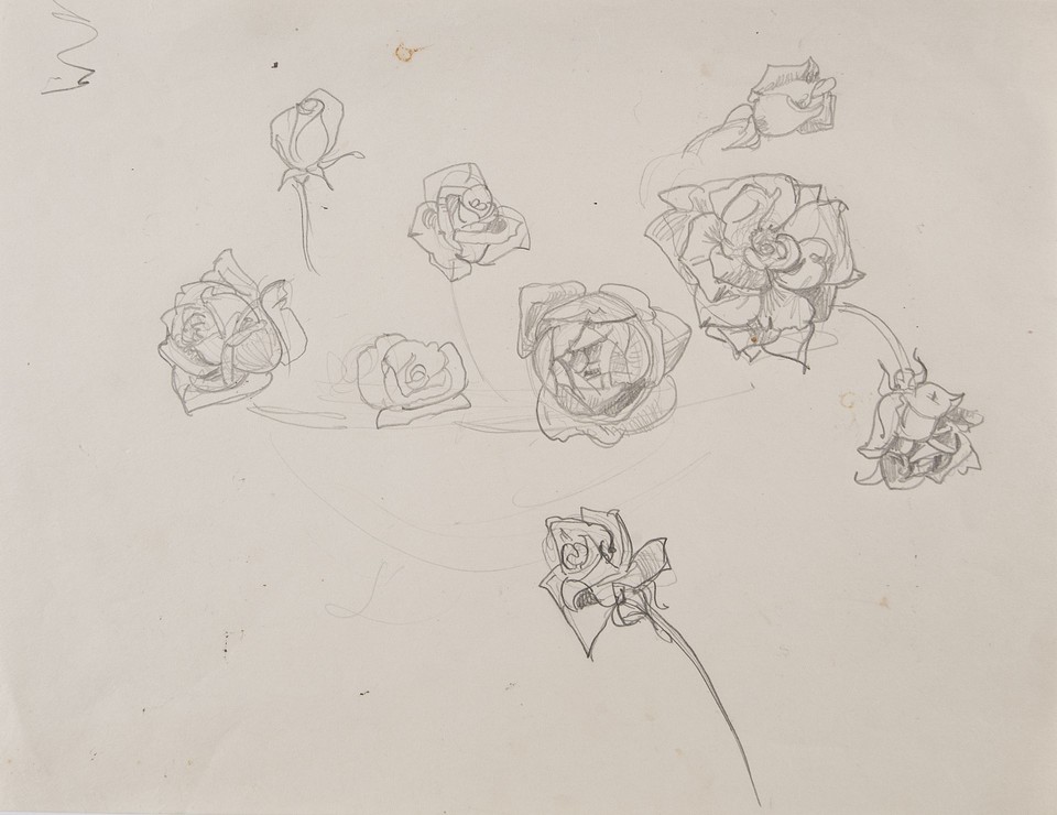 Illustration study of rosebuds for a poem by Mary Baker Eddy Image 1