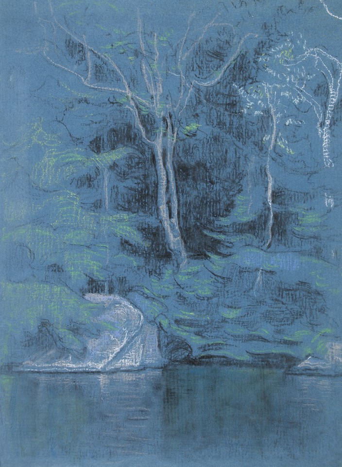 Study of trees on shore by Lake George Image 1