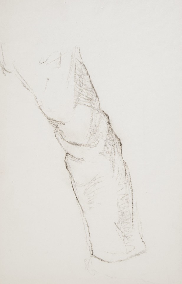 Study of sleeved arm Image 1