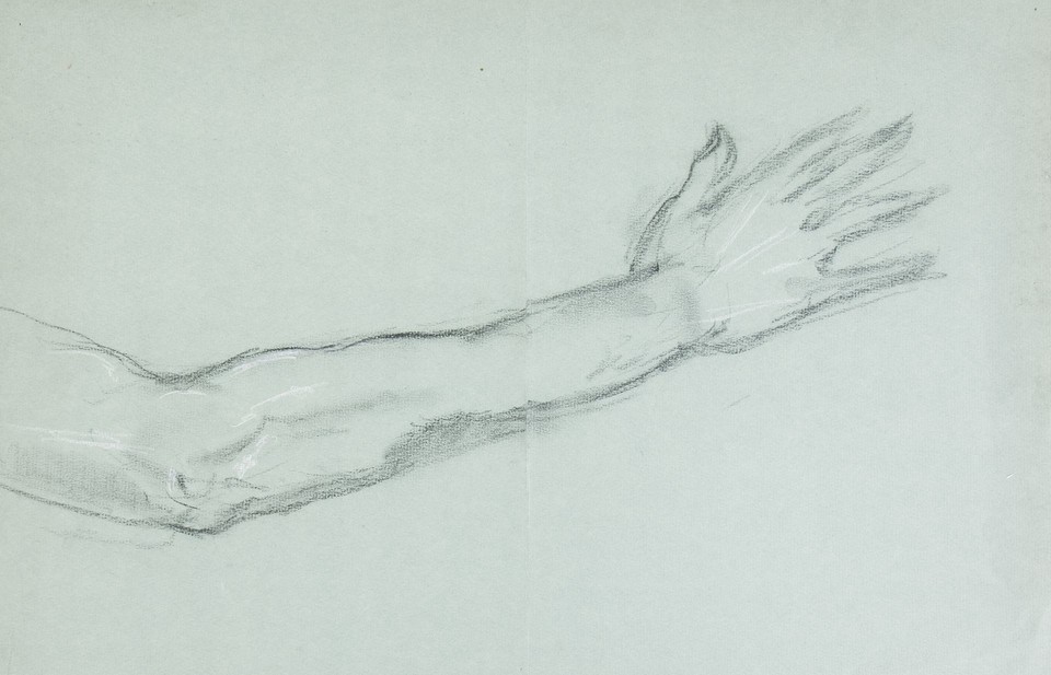 Study of opened hand, elbow and forearm Image 1
