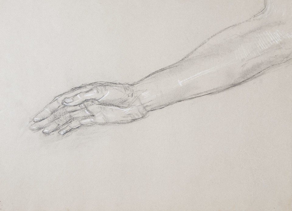 Study of hand and forearm Image 1