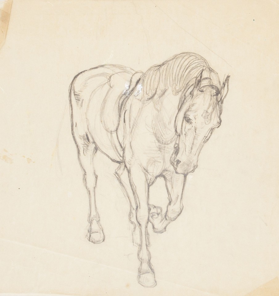 Study of horse wearing exercise saddle Image 1