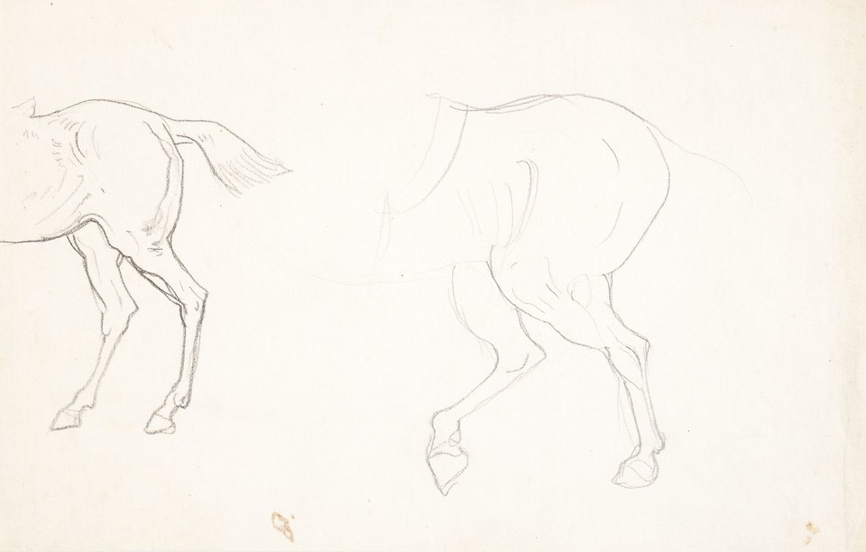 Two studies of horse's hind legs Image 1