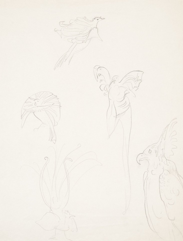 Studies of peacock and other birds Image 1