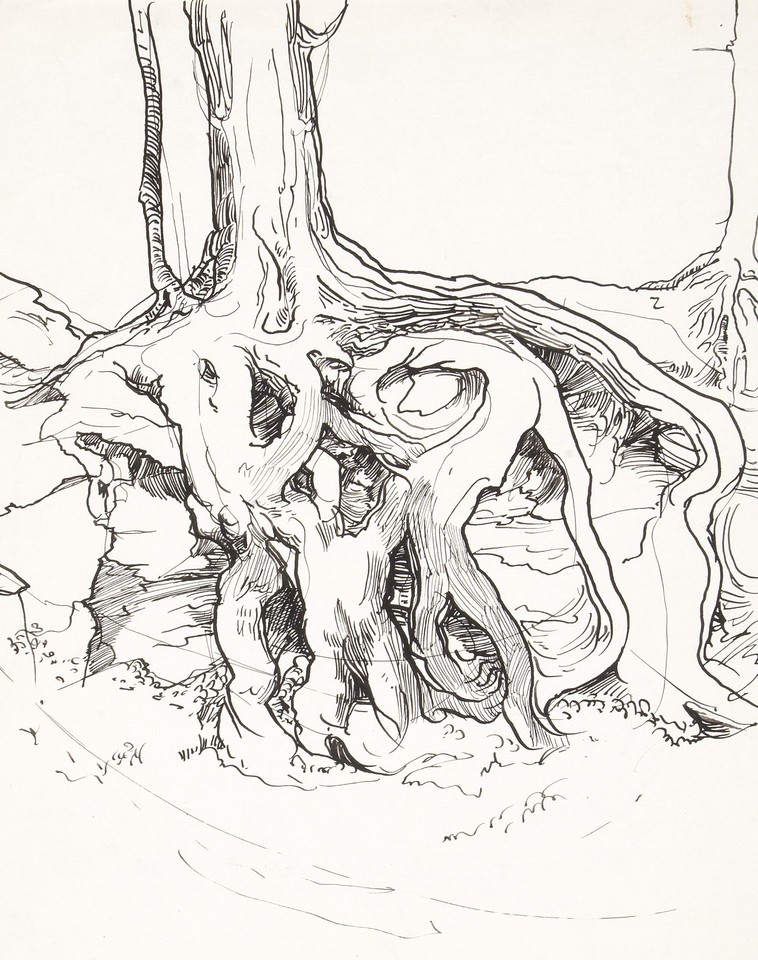 Study of tree roots Image 1