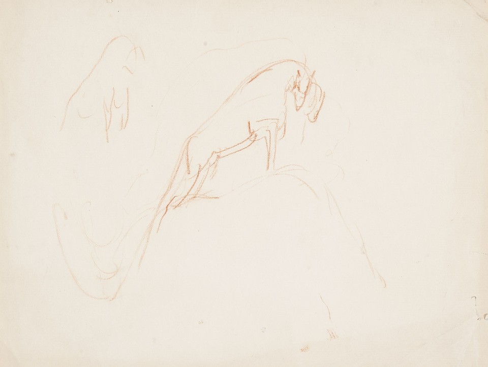 Study of horse or bull on rock Image 1
