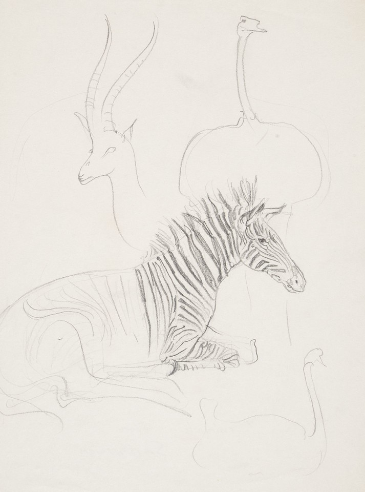 Studies of zebra, gazelle, ostrich and swan Image 1