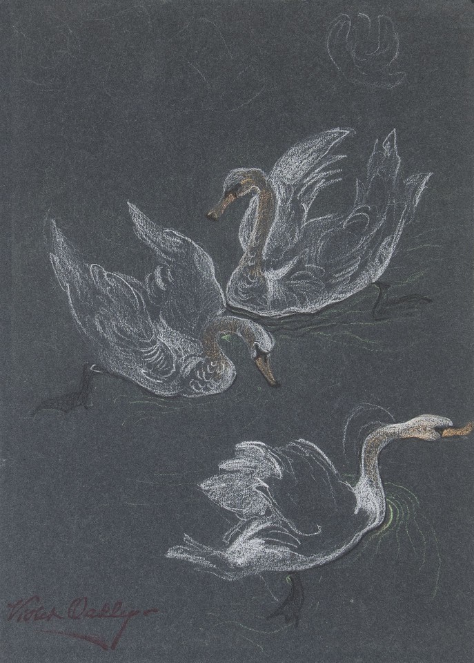 Studies of swan Image 1