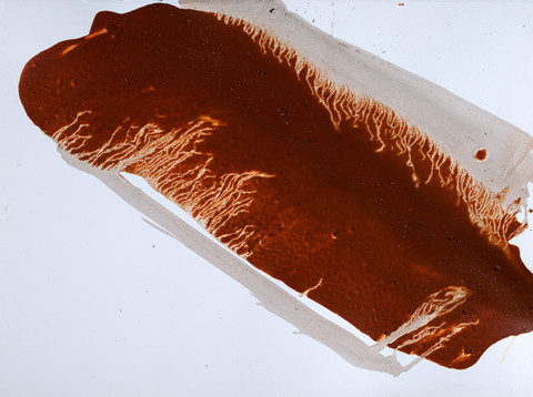 Elaine Kurtz: Untitled (1999) Alabama red dirt and acrylic on Lanquarelle paper
