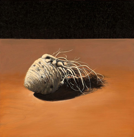 Jimmy Lueders: Celery Root (1993) Oil on canvas