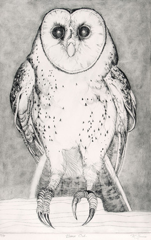 Christine McGinnis: Barn Owl (Undated) Engraving on plexiglass