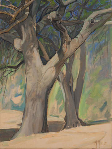 Mildred Bunting Miller: Two Large Trees (Undated) Oil on canvasboard