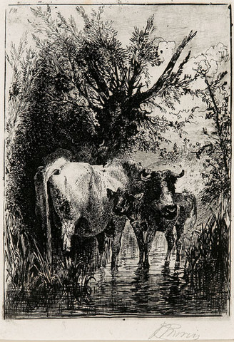 Peter Moran: Cow and Calf (1875) Etching