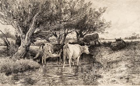 Peter Moran: Cattle in Stream Under Trees (Undated) Etching