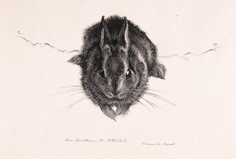 Eleanor S. Perot: Wee Jonathan (the Cotton Tail) (Undated) Lithography