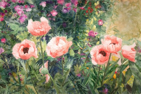 Eileen Goodman: Garden with Poppies (1993) Watercolor on Arches paper