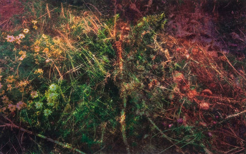 Thomas Porett: Digital Landscape (1995) Digitalized photograph