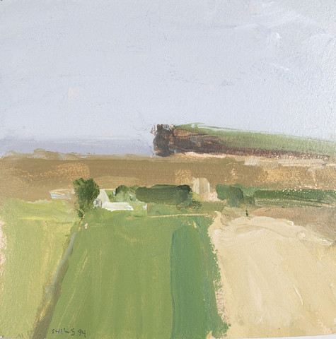 Stuart Shils: Fields Near Ballycastle I (1994) Oil on board