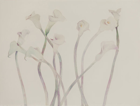 Susan Van Campen: Callas (1978) Watercolor