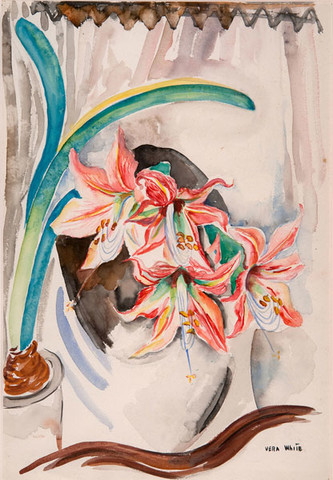 Vera White: Amaryllis (c. 1940) Watercolor on paper